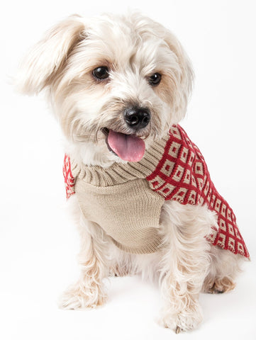 Image of Butterscotch Box Weaved Heavy Cable Knitted Designer Turtle Neck Dog Sweater
