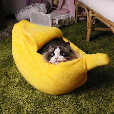Image of Banana Cat Bed Black Friday Special-50% Off While Supplies Last!