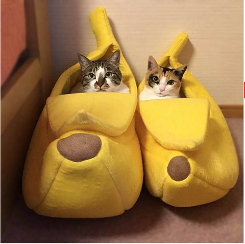 Image of Banana Cat Bed Black Friday Special-50% Off While Supplies Last!
