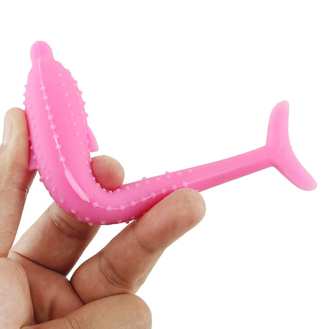 Image of 2 in 1 Cat Toy and Toothbrush-Limited Time Black Friday Offer!