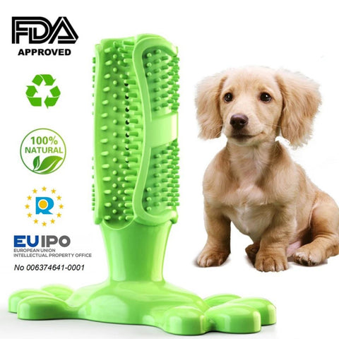 Image of DIY Dog Toothbrush & Chew Toy