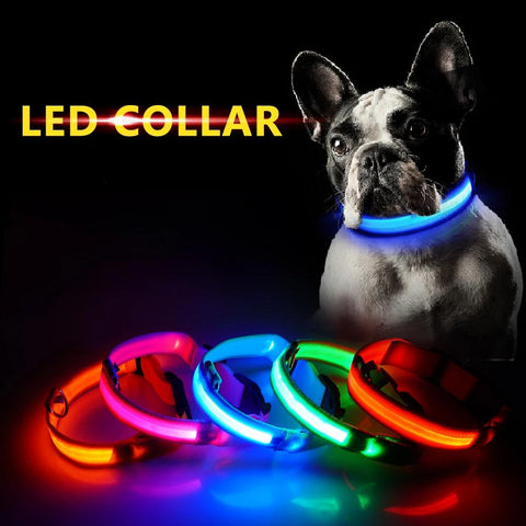 Image of PET FREAKS LED DOG COLLAR - USB CHARGING BLACK FRIDAY SALE 50% OFF