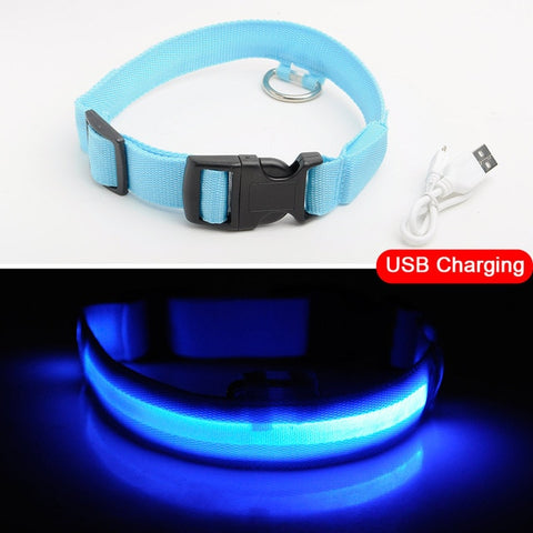 Image of PET FREAKS LED DOG COLLAR - USB CHARGING BLACK FRIDAY SALE 50% OFF
