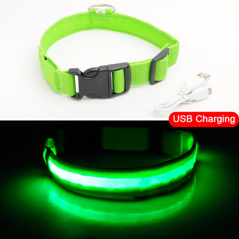 Image of PET FREAKS LED DOG COLLAR - USB CHARGING BLACK FRIDAY SALE 50% OFF