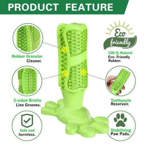 Image of DIY Dog Toothbrush & Chew Toy