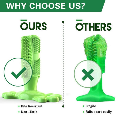 Image of DIY Dog Toothbrush & Chew Toy