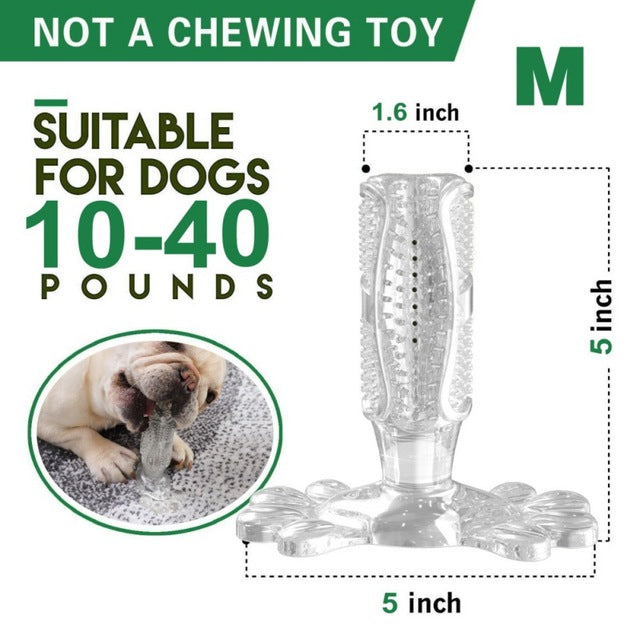 DIY Dog Toothbrush & Chew Toy