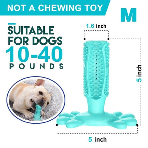 Image of DIY Dog Toothbrush & Chew Toy