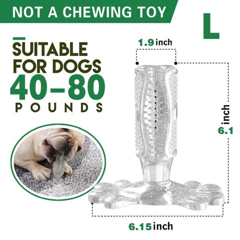 Image of DIY Dog Toothbrush & Chew Toy
