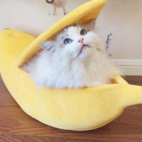 Image of Banana Cat Bed Black Friday Special-50% Off While Supplies Last!