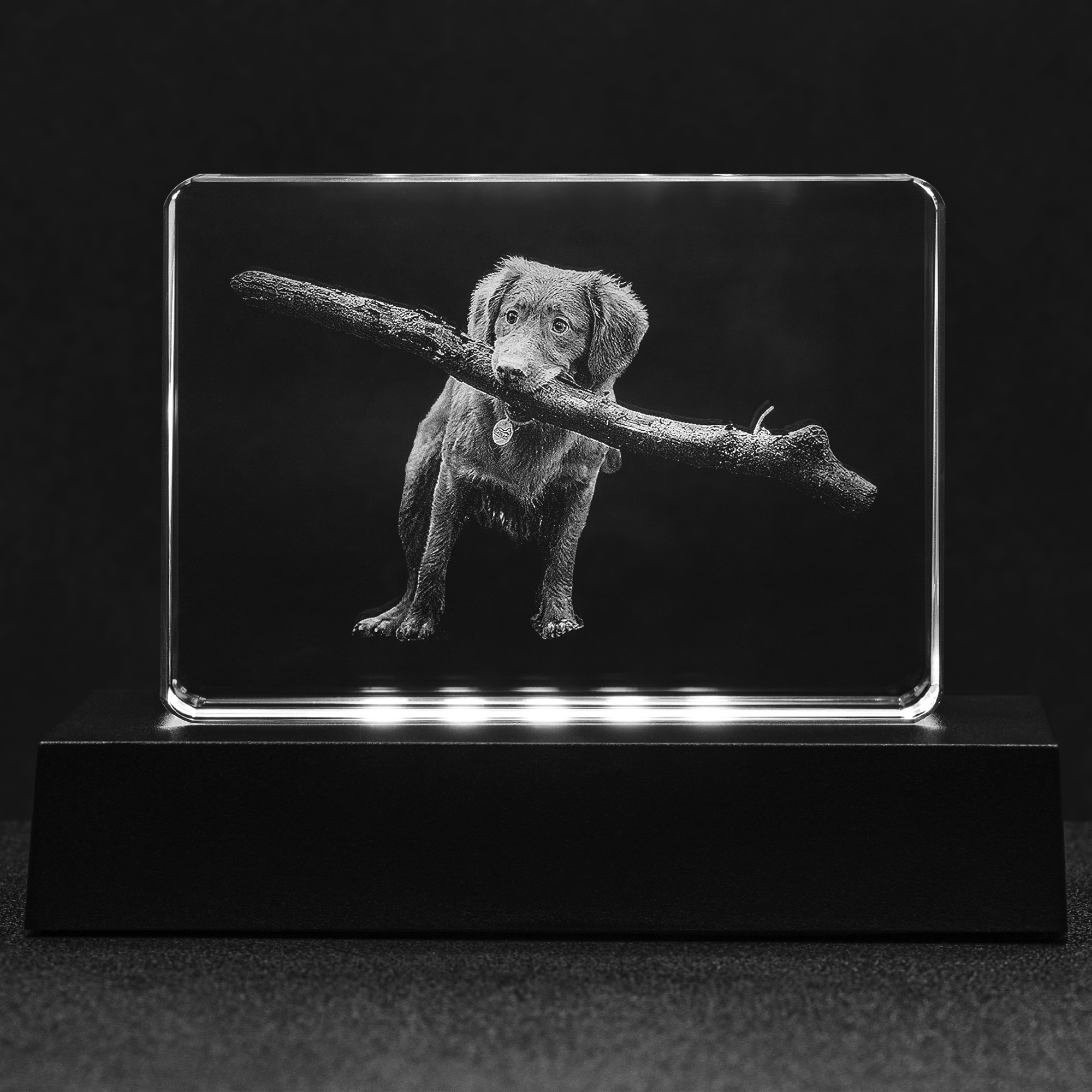 Personalized Pet Art - Laser Engraved Crystal