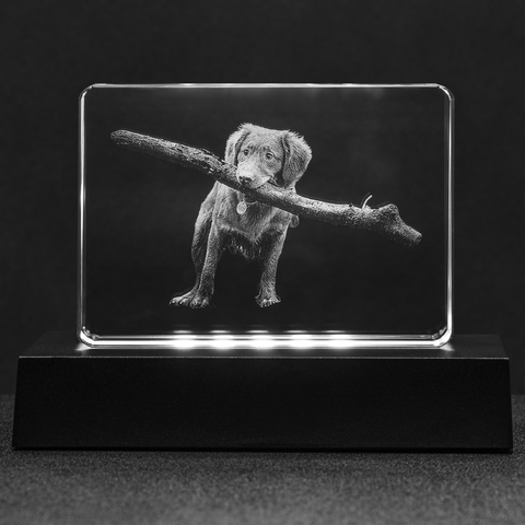Image of Personalized Pet Art - Laser Engraved Crystal