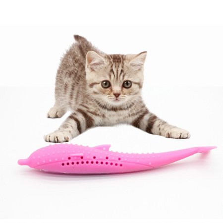 2 in 1 Cat Toy and Toothbrush-Limited Time Black Friday Offer!