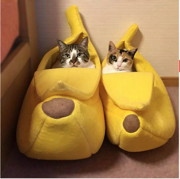 Banana Cat Bed Black Friday Special-50% Off While Supplies Last!