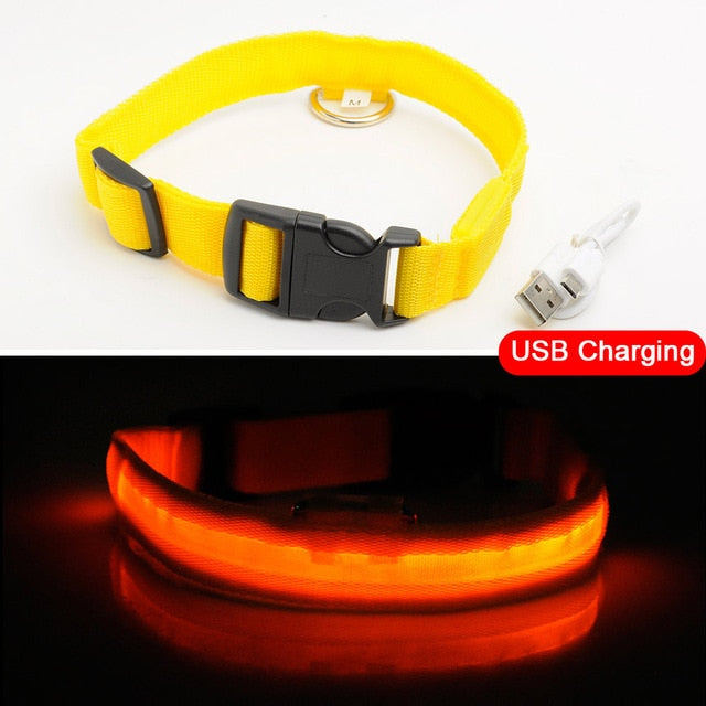 PET FREAKS LED DOG COLLAR - USB CHARGING BLACK FRIDAY SALE 50% OFF