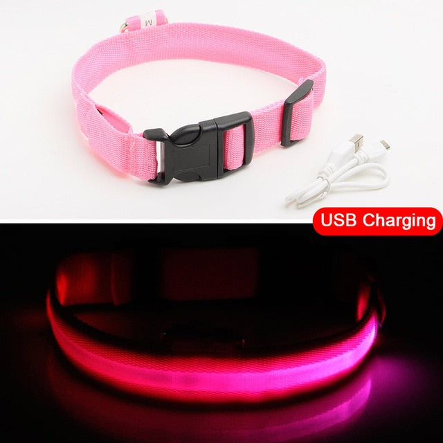 PET FREAKS LED DOG COLLAR - USB CHARGING BLACK FRIDAY SALE 50% OFF