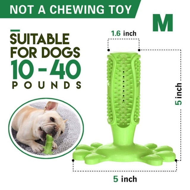 DIY Dog Toothbrush & Chew Toy