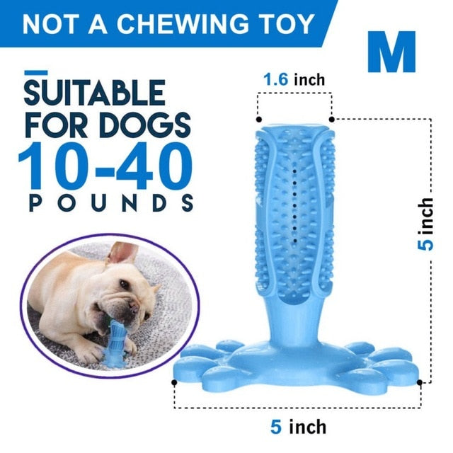 DIY Dog Toothbrush & Chew Toy
