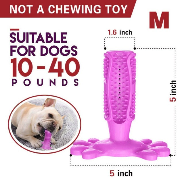 DIY Dog Toothbrush & Chew Toy
