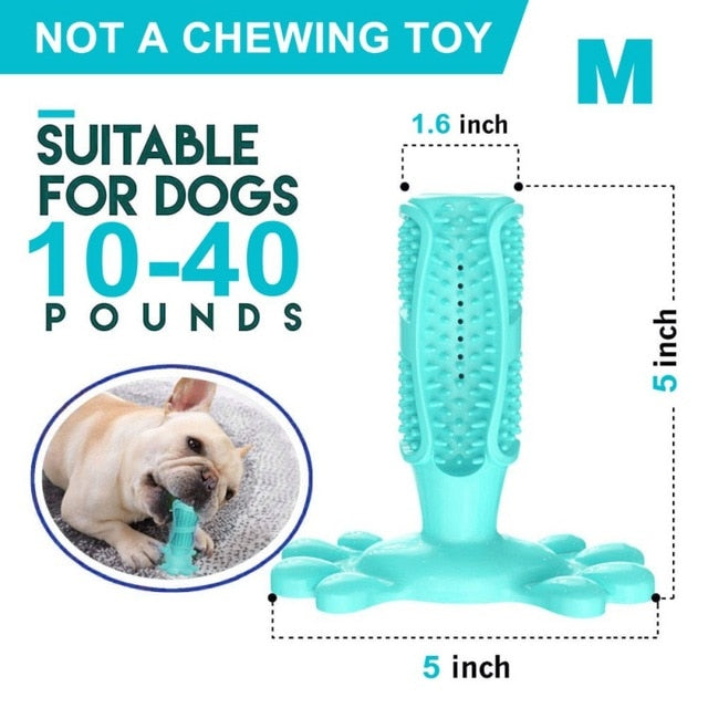 DIY Dog Toothbrush & Chew Toy