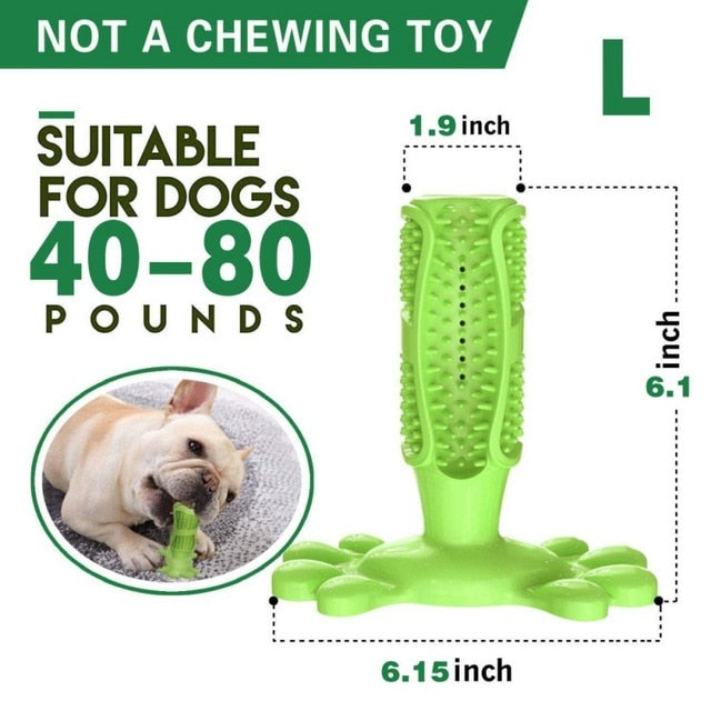 DIY Dog Toothbrush & Chew Toy