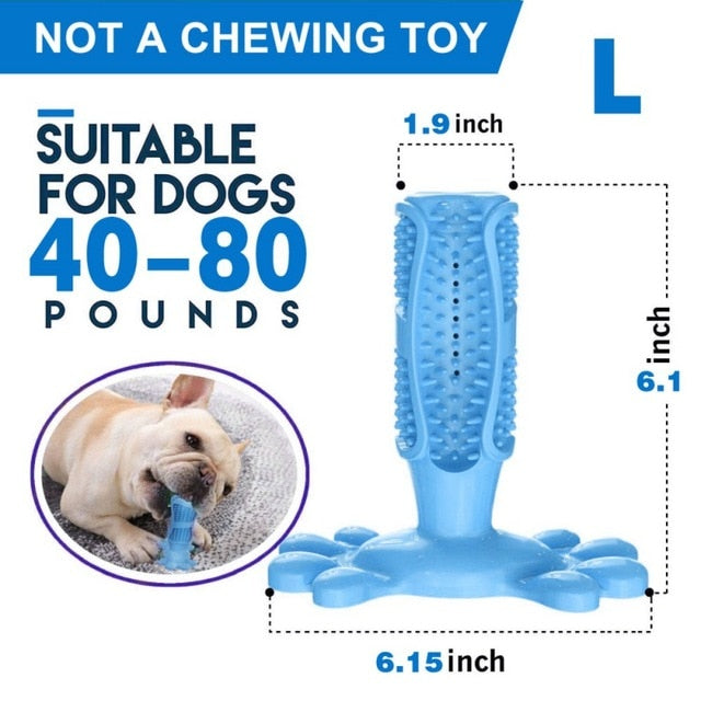 DIY Dog Toothbrush & Chew Toy
