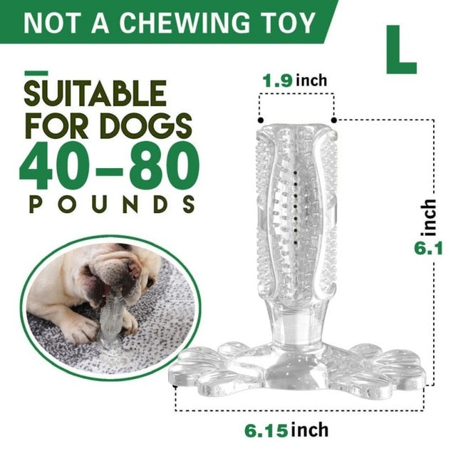 DIY Dog Toothbrush & Chew Toy