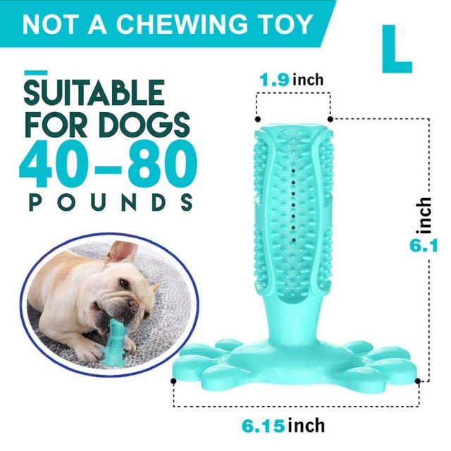 DIY Dog Toothbrush & Chew Toy