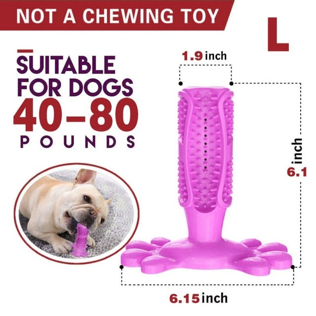 DIY Dog Toothbrush & Chew Toy